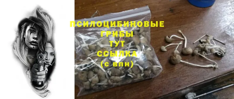 Псилоцибиновые грибы Cubensis  где найти наркотики  Фролово 